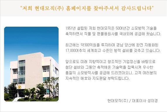 현대-개요.jpg